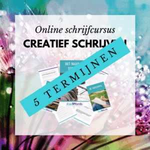 Online schrijfcursus 'Creatief schrijven' - betalen in 5 termijnen